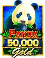 คาสิโน ปอยเปต รีวิว: ทดลองเล่นสล็อตแบบมืออาชีพ