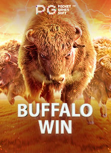 เครื่องสล็อต Dafa 888 อย่างเป็นทางการ: สนุกได้ทุกการหมุน